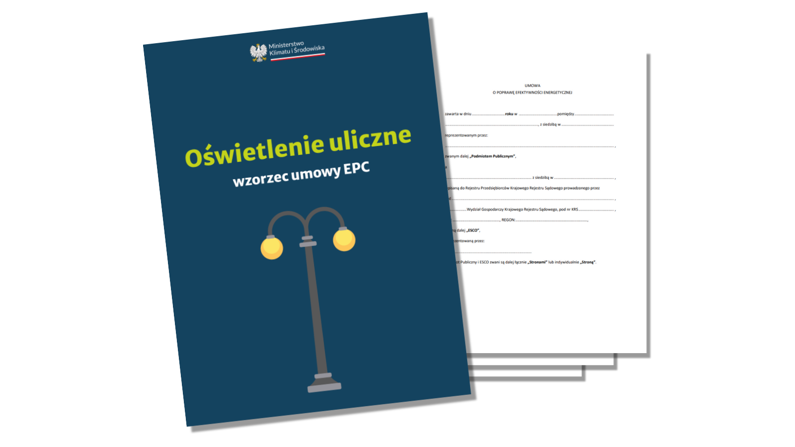 Poland’s national guidelines for EPC contracts: a step towards enhanced ...