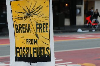 ‘Stocktaking’ and next steps 