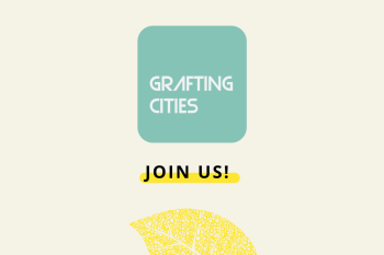 Grafting Cities 2024: Unveiling local transformations