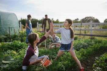 Citizens’ engagement for effective food strategies 