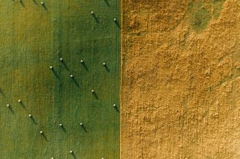 Agriculture urbaine : l’exemple de Guimarães