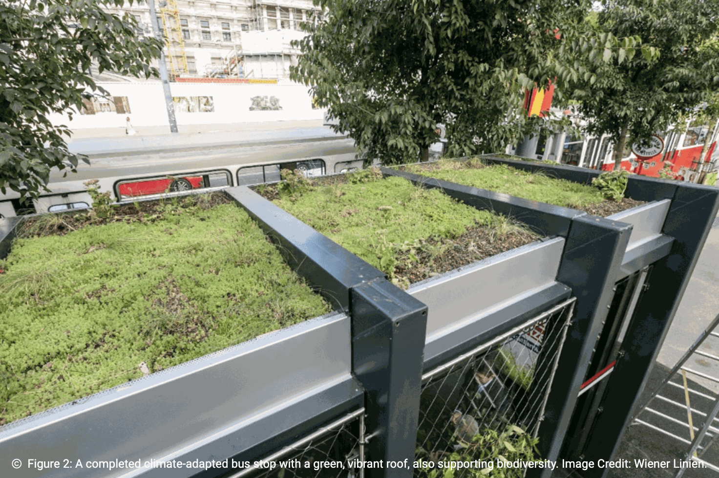 Vienna's green bus stops Cities Refresh Campaign