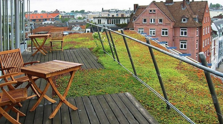 Hamburg's Green Roof Strategy Cities Refresh Campaign