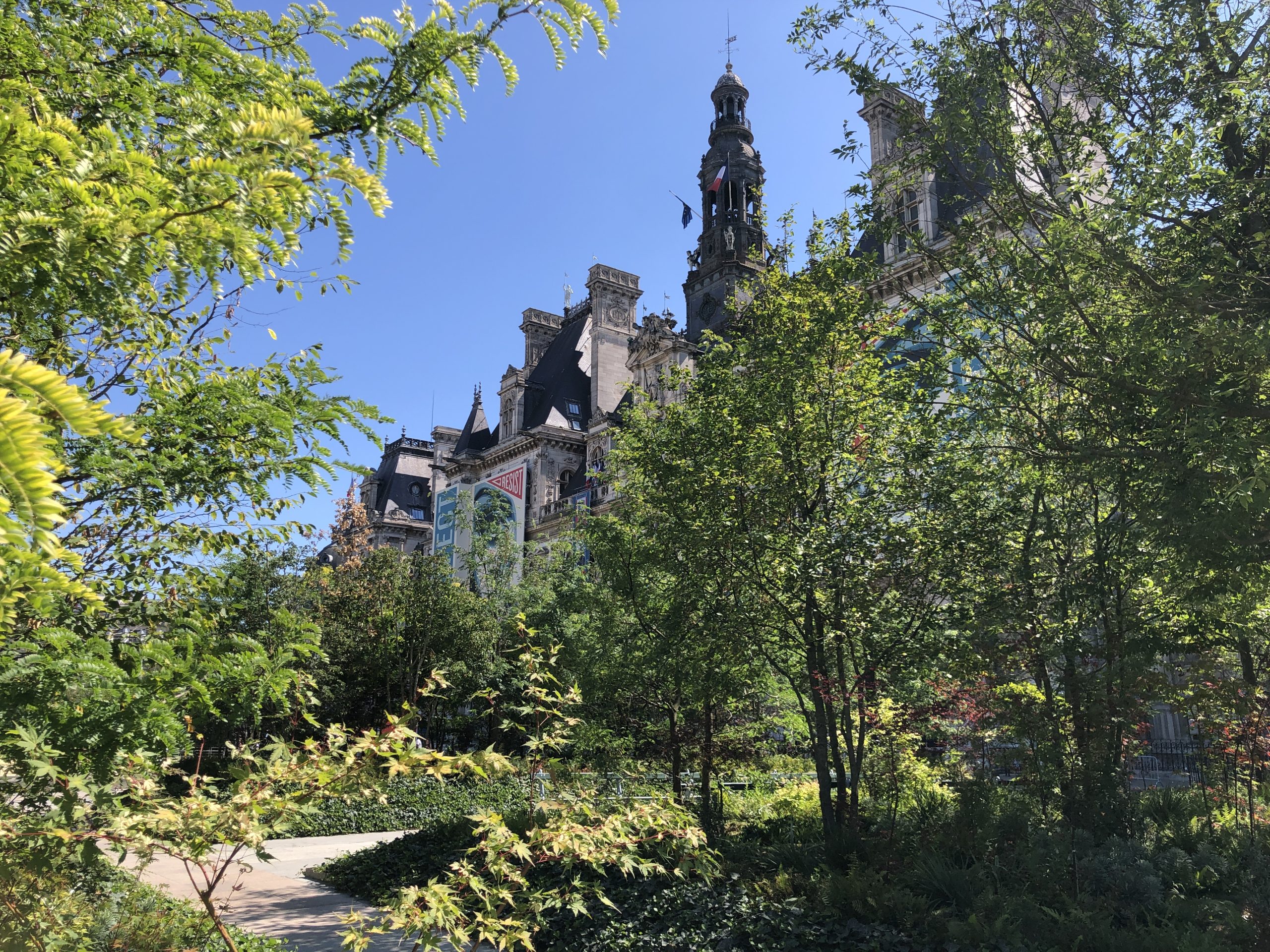 Greening of Paris' Place de l'Hotel de Ville
