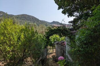 Keeping cool in the Sardinian mountains – energy communities pave the way towards energy democracy