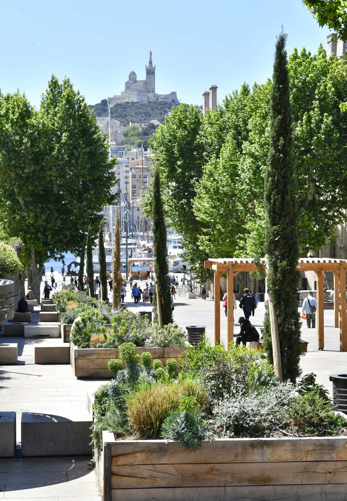 Greening of Marseille's streets in historic centre Cities Refresh Campaign