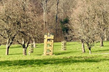 #MadeForFuture: EU funding to finance biodiversity preservation in Heidelberg