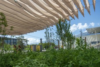 How to turn a city into a “cool” place: Grenoble’s fight against urban heat islands