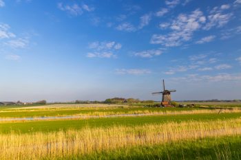 European Strategy, local solutions: empowering municipalities to lead the EU’s Right to Stay Strategy