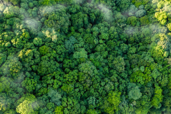 Solving the EU’s Climate Implementation Gap: connect national plans with local actions and needs