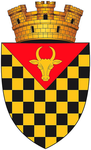 Anenii Noi
