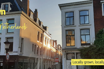Local flexibility: Utrecht’s shared cars become batteries for the city